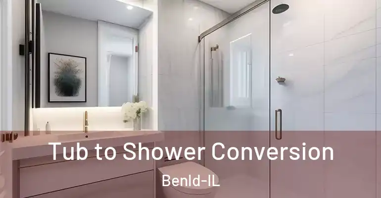 inner Bathroom imggen Tub to Shower Conversion Benld-IL
