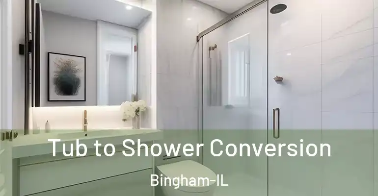 inner Bathroom imggen Tub to Shower Conversion Bingham-IL