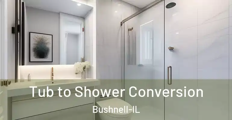 inner Bathroom imggen Tub to Shower Conversion Bushnell-IL