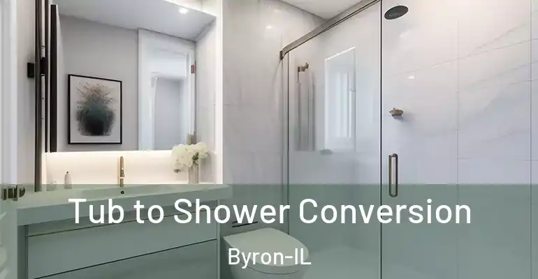 inner Bathroom imggen Tub to Shower Conversion Byron-IL