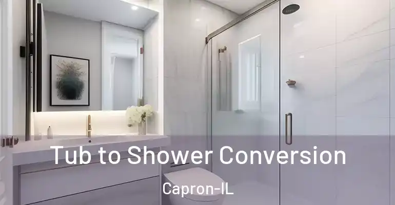 inner Bathroom imggen Tub to Shower Conversion Capron-IL