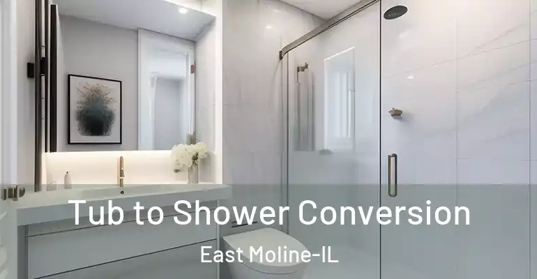 inner Bathroom imggen Tub to Shower Conversion East Moline-IL