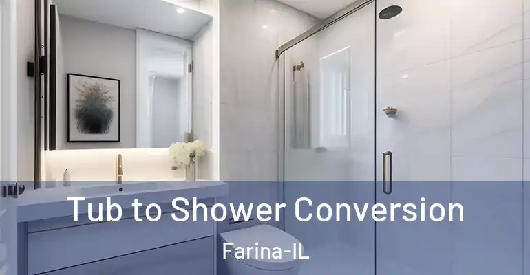 inner Bathroom imggen Tub to Shower Conversion Farina-IL