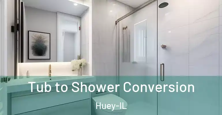inner Bathroom imggen Tub to Shower Conversion Huey-IL