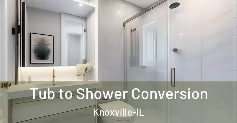 inner Bathroom imggen Tub to Shower Conversion Knoxville-IL