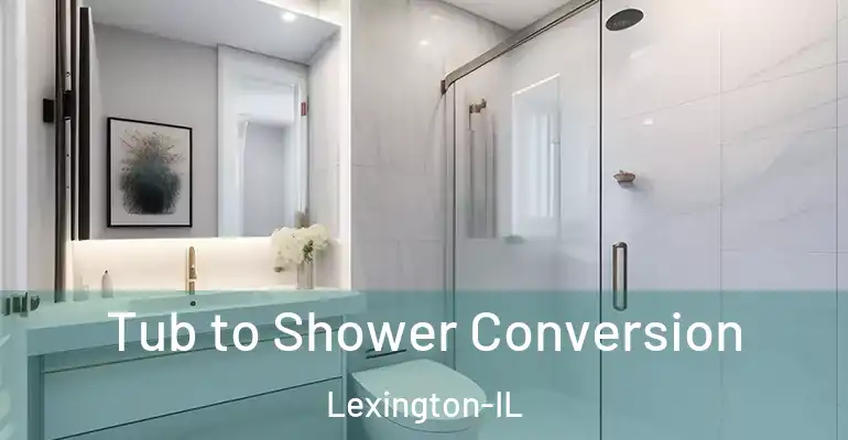 inner Bathroom imggen Tub to Shower Conversion Lexington-IL