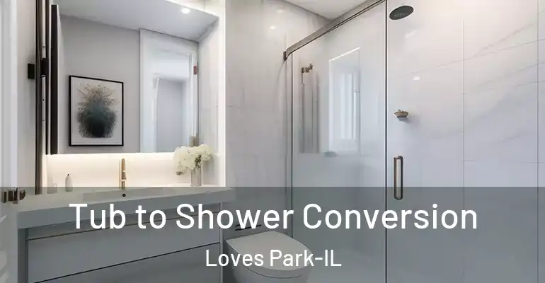 inner Bathroom imggen Tub to Shower Conversion Loves Park-IL