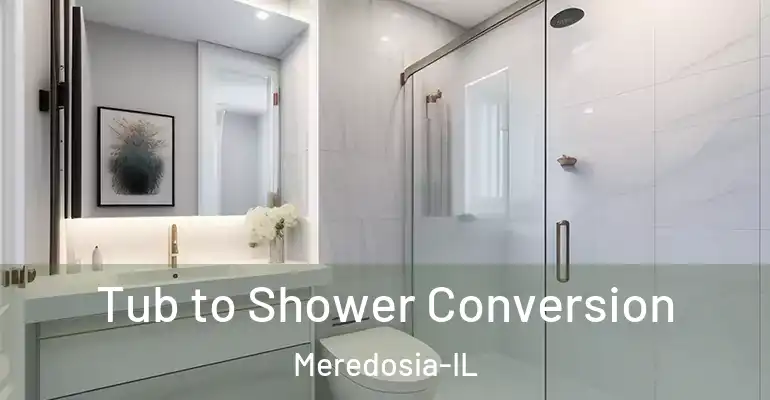 inner Bathroom imggen Tub to Shower Conversion Meredosia-IL