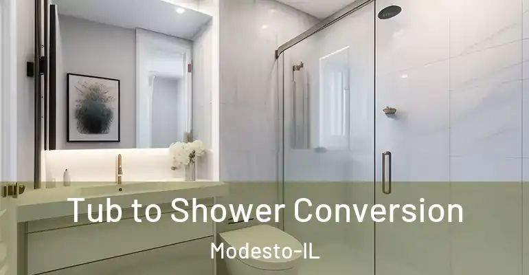 inner Bathroom imggen Tub to Shower Conversion Modesto-IL