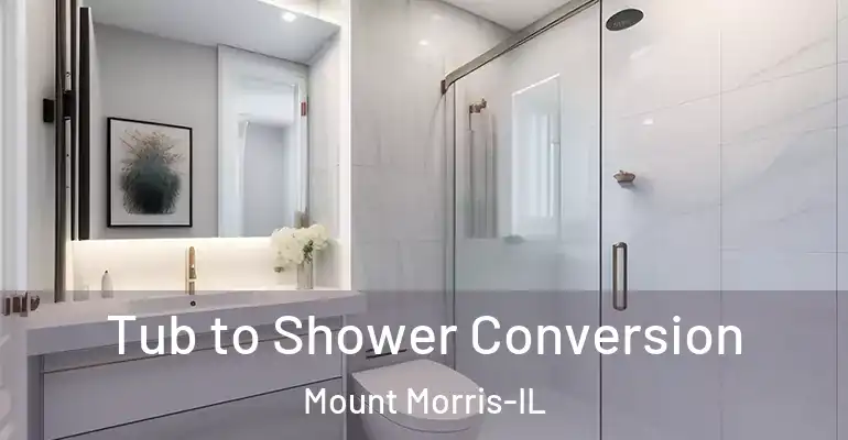 inner Bathroom imggen Tub to Shower Conversion Mount Morris-IL