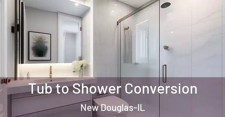 inner Bathroom imggen Tub to Shower Conversion New Douglas-IL