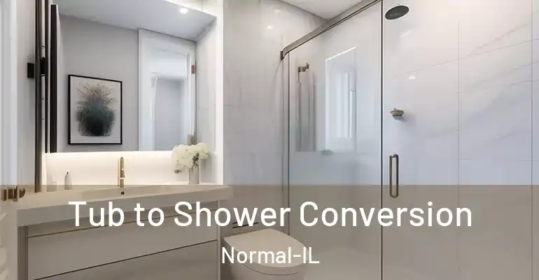 inner Bathroom imggen Tub to Shower Conversion Normal-IL