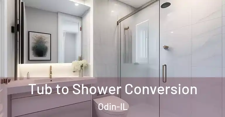 inner Bathroom imggen Tub to Shower Conversion Odin-IL