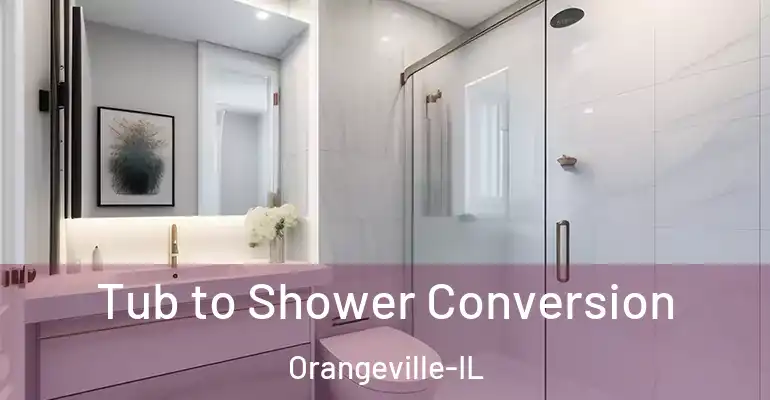inner Bathroom imggen Tub to Shower Conversion Orangeville-IL