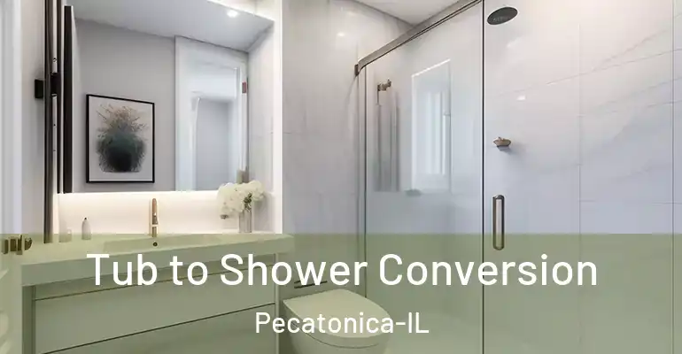 inner Bathroom imggen Tub to Shower Conversion Pecatonica-IL