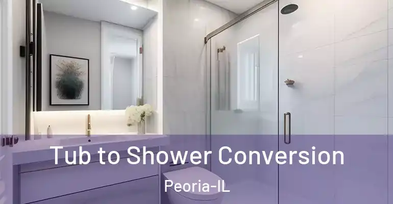 inner Bathroom imggen Tub to Shower Conversion Peoria-IL
