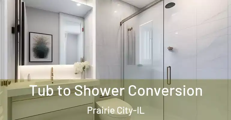 inner Bathroom imggen Tub to Shower Conversion Prairie City-IL