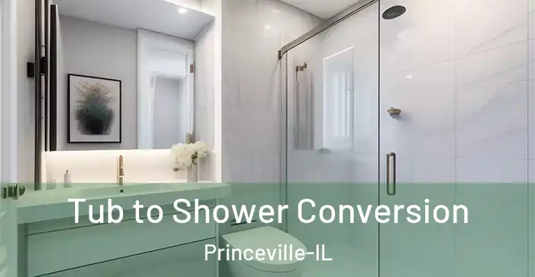 inner Bathroom imggen Tub to Shower Conversion Princeville-IL
