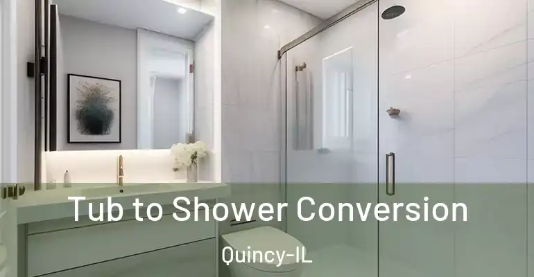 inner Bathroom imggen Tub to Shower Conversion Quincy-IL