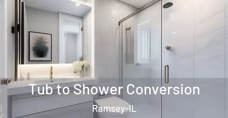 inner Bathroom imggen Tub to Shower Conversion Ramsey-IL