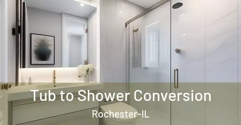 inner Bathroom imggen Tub to Shower Conversion Rochester-IL