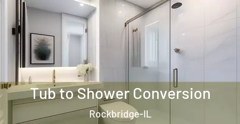 inner Bathroom imggen Tub to Shower Conversion Rockbridge-IL