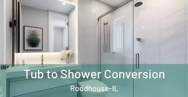 inner Bathroom imggen Tub to Shower Conversion Roodhouse-IL