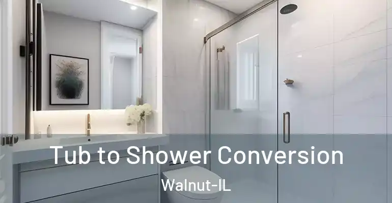 inner Bathroom imggen Tub to Shower Conversion Walnut-IL