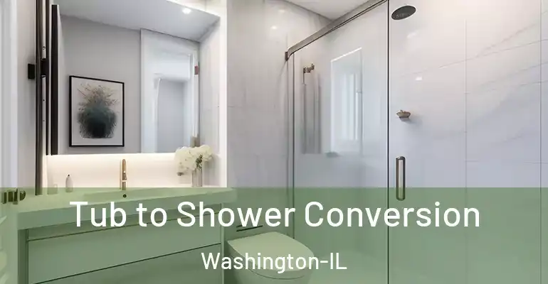 inner Bathroom imggen Tub to Shower Conversion Washington-IL