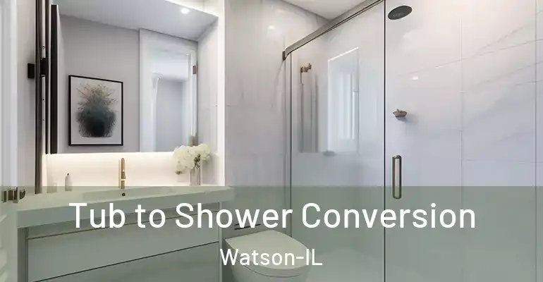 inner Bathroom imggen Tub to Shower Conversion Watson-IL