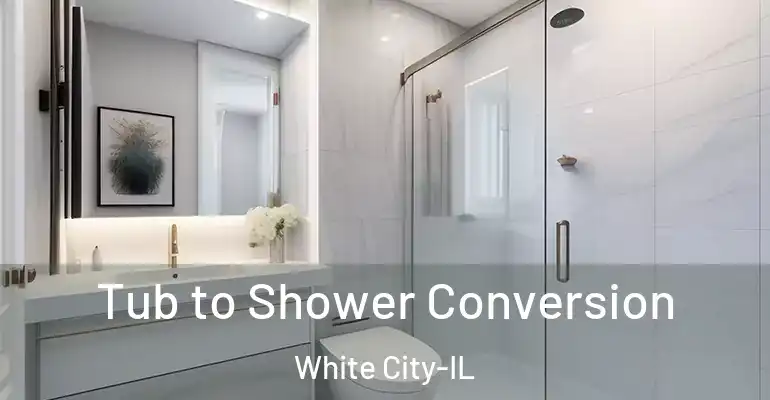 inner Bathroom imggen Tub to Shower Conversion White City-IL