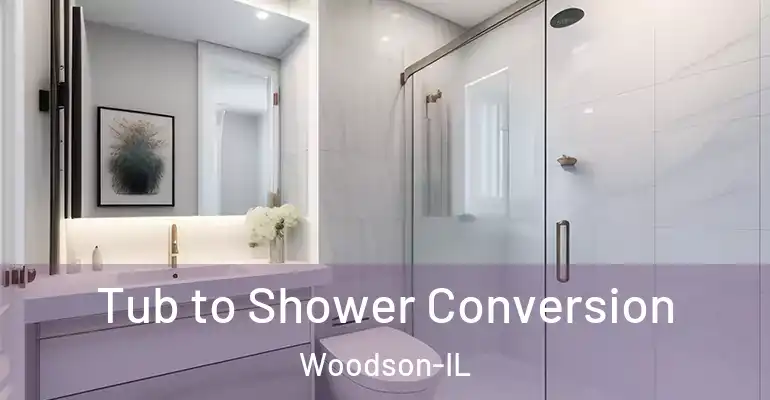 inner Bathroom imggen Tub to Shower Conversion Woodson-IL