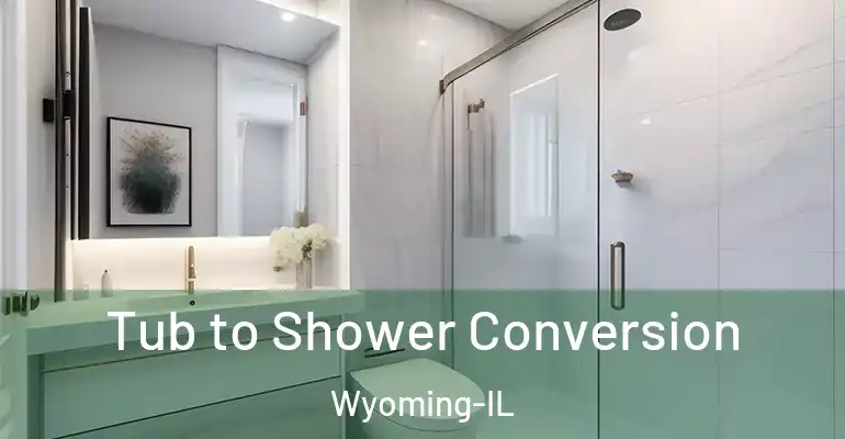 inner Bathroom imggen Tub to Shower Conversion Wyoming-IL