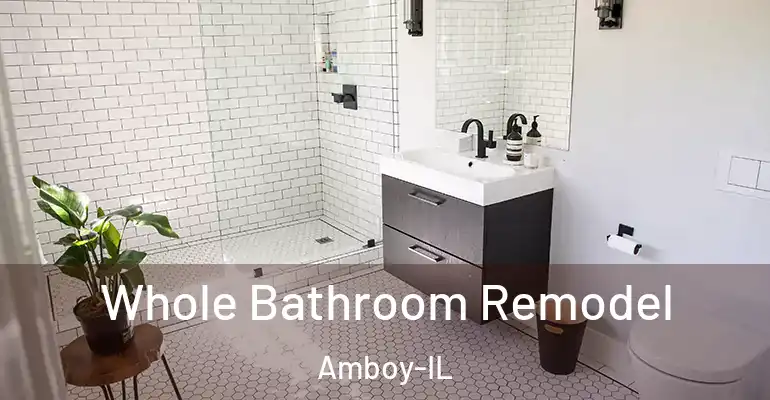 inner Bathroom imggen Whole Bathroom Remodel Amboy-IL