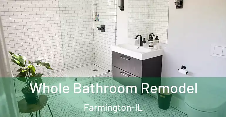 inner Bathroom imggen Whole Bathroom Remodel Farmington-IL