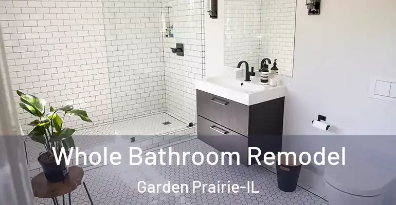 inner Bathroom imggen Whole Bathroom Remodel Garden Prairie-IL