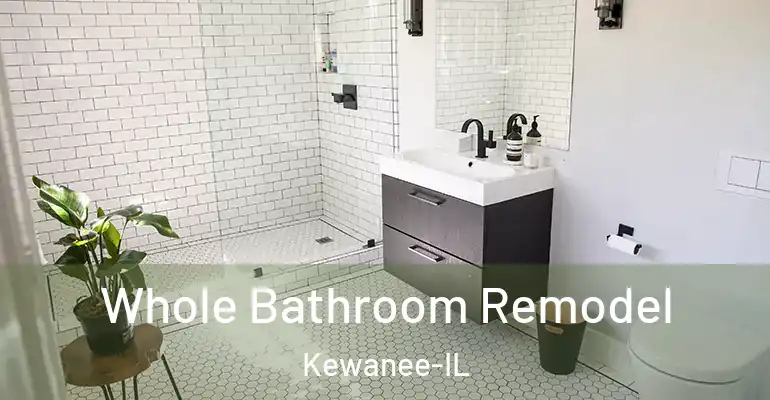 inner Bathroom imggen Whole Bathroom Remodel Kewanee-IL