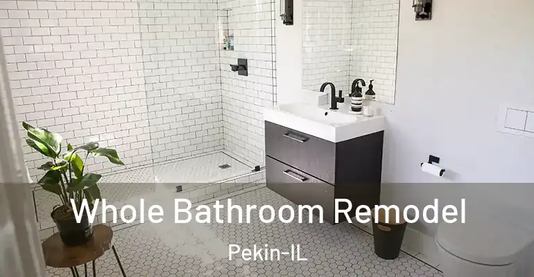 inner Bathroom imggen Whole Bathroom Remodel Pekin-IL