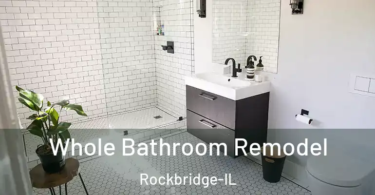 inner Bathroom imggen Whole Bathroom Remodel Rockbridge-IL