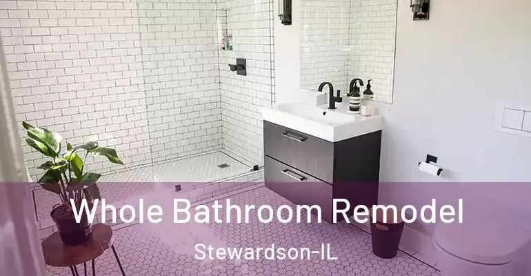 inner Bathroom imggen Whole Bathroom Remodel Stewardson-IL